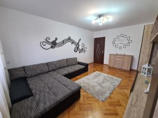 Flavius Apartment Central Sibiu - Sibiu - 5