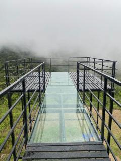 Coorg Tree House - Madikeri - 5