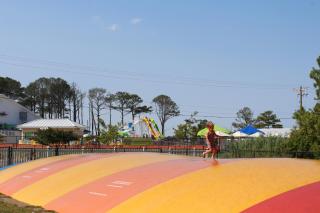 Jellystone Park Chincoteague Island - Chincoteague - 3