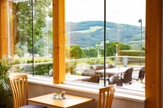 JUFA Hotel Garni Stubenberg am See - Stubenberg - 9