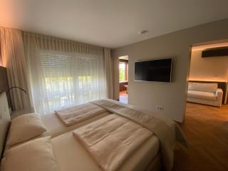 Hotel Villa Elben Lörrach bei Basel - Lörrach - 9