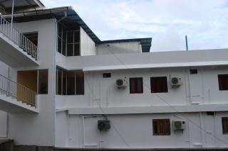 White Coral - Port Blair - 4