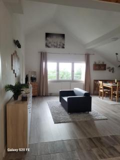 Penthouse N74 Linz 120 QM KIDS WELCOME! - Linz - 9