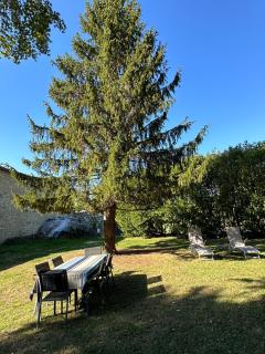 Maison de campagne cosy dans la verdure - Champniers - 6
