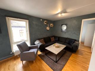 Super Central 3-bedroom apartment - Oslo - 0