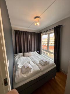 Super Central 3-bedroom apartment - Oslo - 4