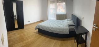 VILLA CAISULUI Dobroesti - Bucharest - 1