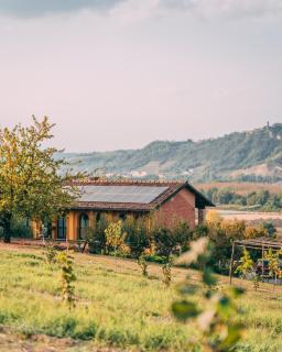 Agriturismo Cascina Barin - Roddi - 5