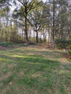 Le chalet des 4 saisons - Mers-sur-Indre - 7