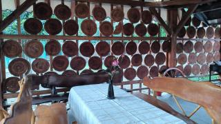 Ardilla - 3