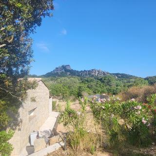 Bergerie U Caseddu - 3