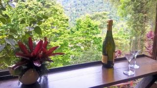 Pousada Monte Imperial - Petrópolis - 5