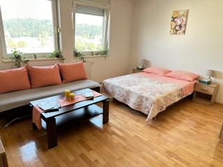 Titanik Tuzla - Tuzla - 8