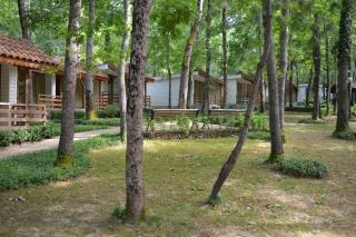 Villas Ropotamo - Primorsko - 9