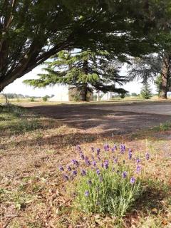 Bienvenue au Gîte de Mornas - Beaumont-lès-Valence - 1