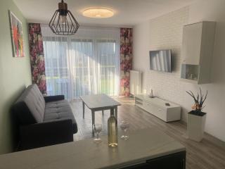 1 Tyskie Apartamenty z ogródkiem - 7