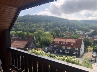Harzhotel Grünett - Langelsheim - 3