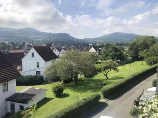 Harzhotel Grünett - Langelsheim - 2