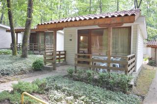 Villas Holidays - Primorsko - 8