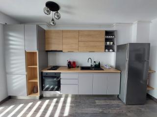 Raluca cozy apartment's - Ploieşti - 6