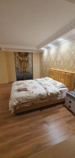Airport apartament - Sîngera - 5