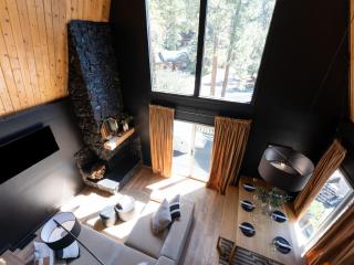 Silver Tip Big Bear - 5