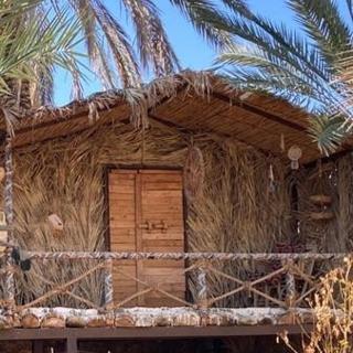 Shamofs Farm - Siwa - 2