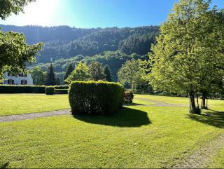 Penthouse Palais Mosel - Traben-Trarbach - 7