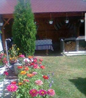 Casa Emil - Botuş - 7