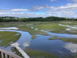 89 Singleton Beach - Villa La Spiaggia - Hilton Head Island - 9