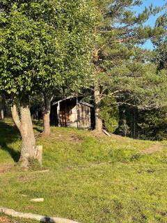 koselig liten hytte i Skien - 6