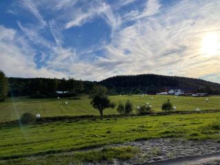 koselig liten hytte i Skien - Skien - 4