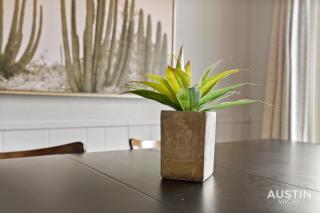 Pets Welcome Great Space Backyard Near Zilker - 7