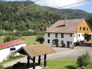 Maison de Montagne à La Bresse, 2 Chambres, Confort et Activités, Garage, Wifi Inclus - FR-1-589-152 - La Bresse - 7
