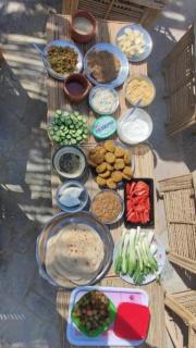 Tunis Camp Fayoum - 6