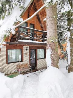 Traveland Chalet Poiana Brasov - Poiana Brasov - 1