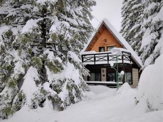 Traveland Chalet Poiana Brasov - Poiana Brasov - 2