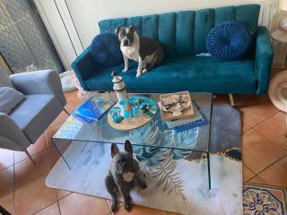 Cairns Homestay - White Rock - 6