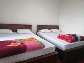 GREENISH INN (ROOMS) - Nanu Oya - 4