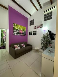 Appartement Coeur de Papillon - Baie-Mahault - 5