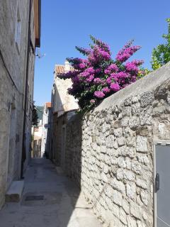 Seaside holiday house Rab - 14697 - Rab - 4