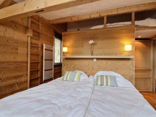 Chalet 12 pers. à La Plagne avec sauna, jacuzzi et animaux admis - FR-1-455-238 - 1