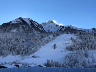 Appartement de charme rénové proche du centre et des pistes avec Wi-Fi - FR-1-692-91 - 9