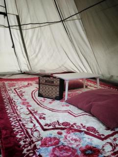 AWANAZ FARM GLAMPING - Jitra - 4