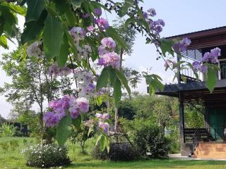 My Home @ Wang Yao - - 5