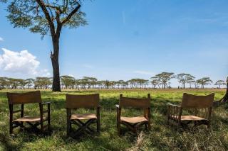 Olmara Camp - Serengeti-Savanne - 9