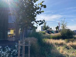 New Pension at ROTOR Brewery - 1