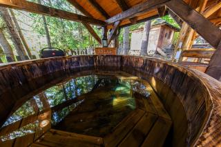 Forest Home Relax - Borzont - 4