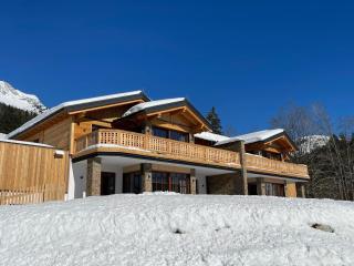 Dachstein Chalet - Russbach am Pass Gschütt - 6