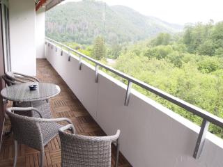 Ferienwohnung GrünWald - Bad Harzburg - 7